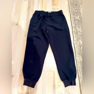 Aritzia Wilfred work joggers